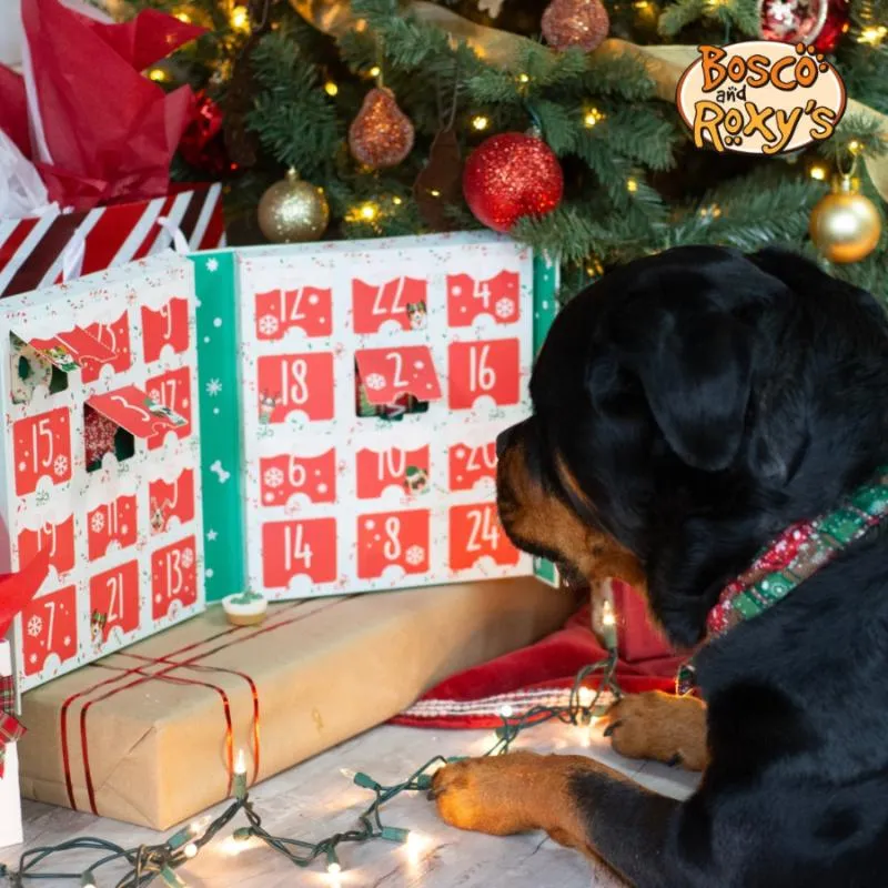Bosco and Roxy's Bark the Halls Advent Calendar for Dogs