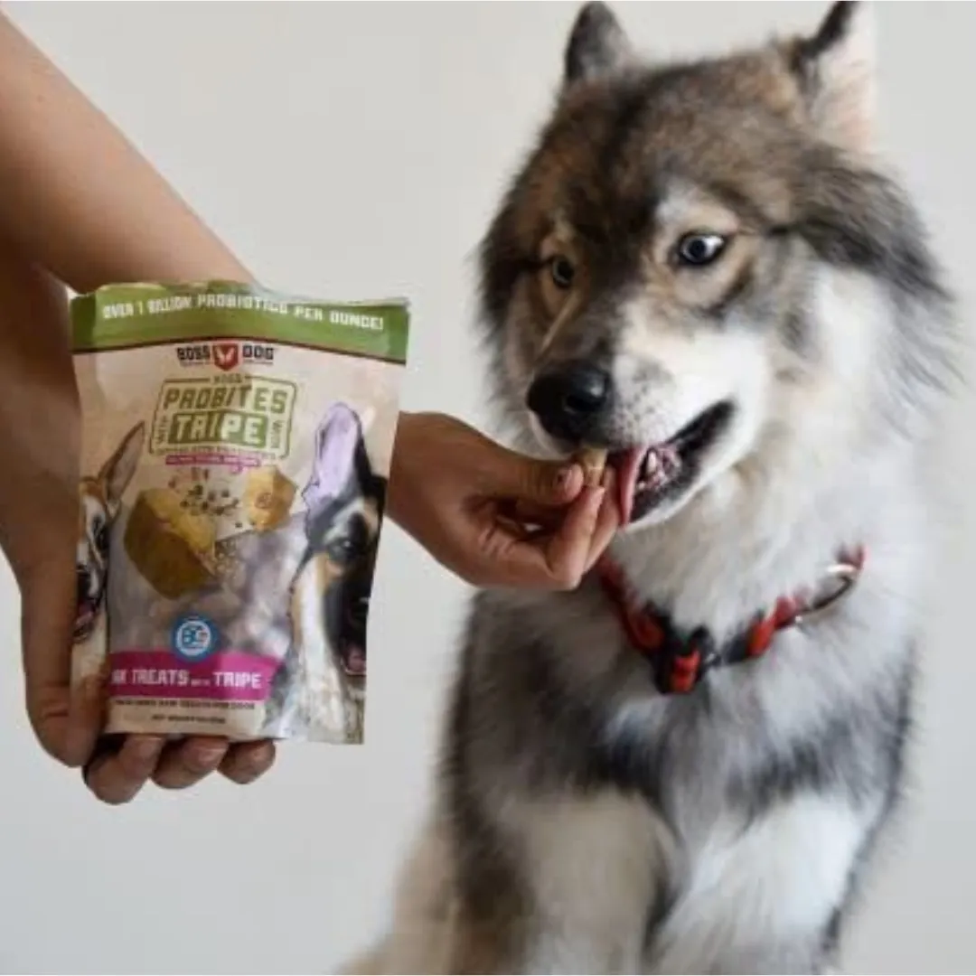 Boss Dog Probites Dried Raw Beef Treats Tripe for Dogs
