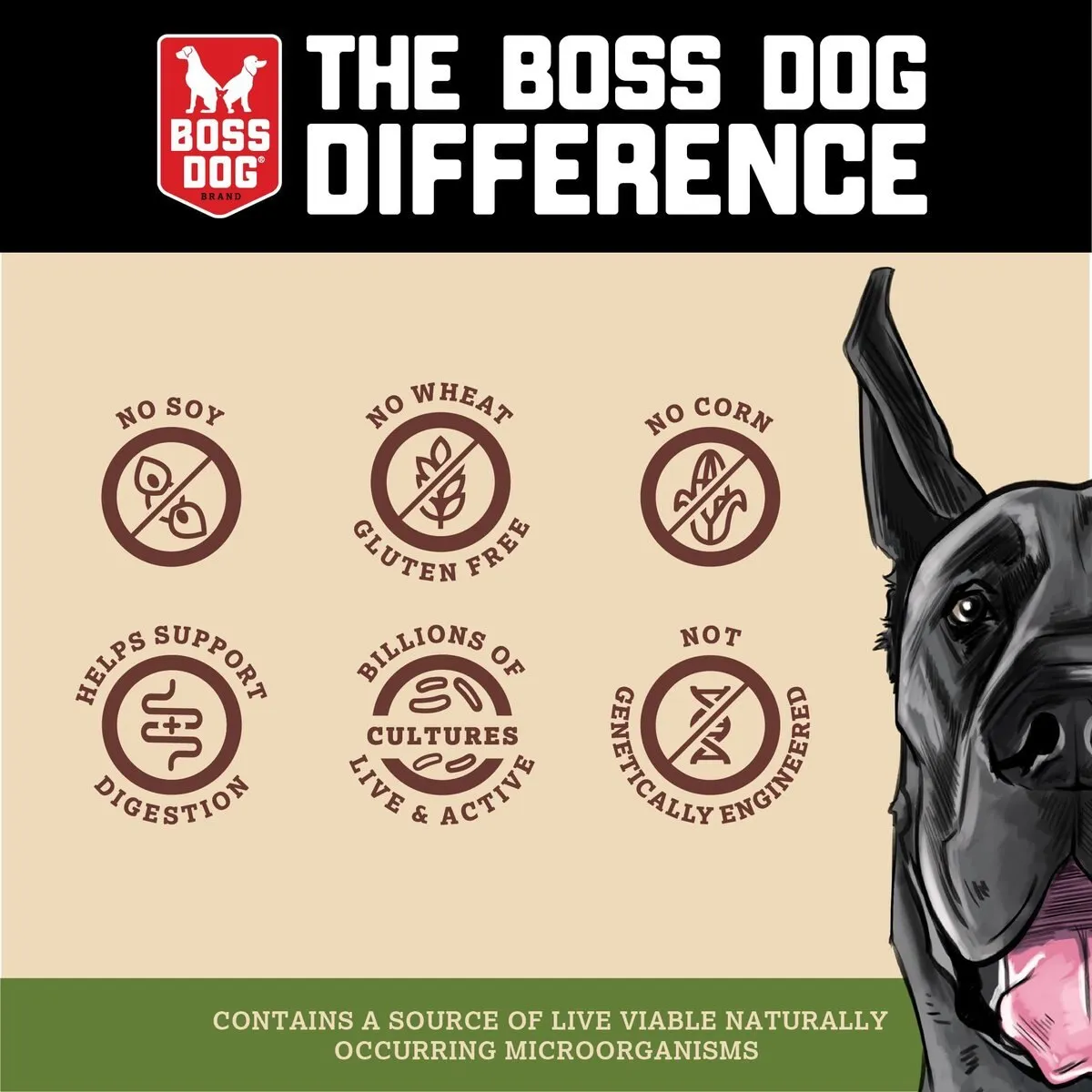 Boss Dog Probites Dried Raw Beef Treats Tripe for Dogs