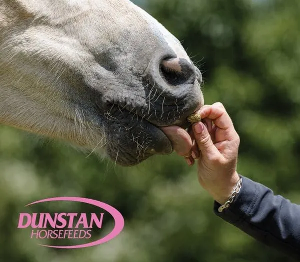 Dunstan Treats 1kg