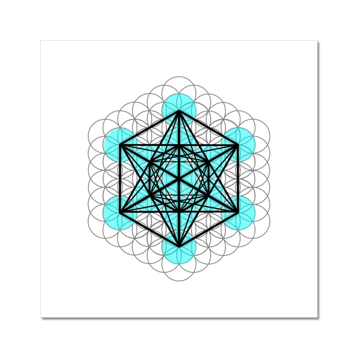 Fruit of Life, Metatrons Cube C-Type Print