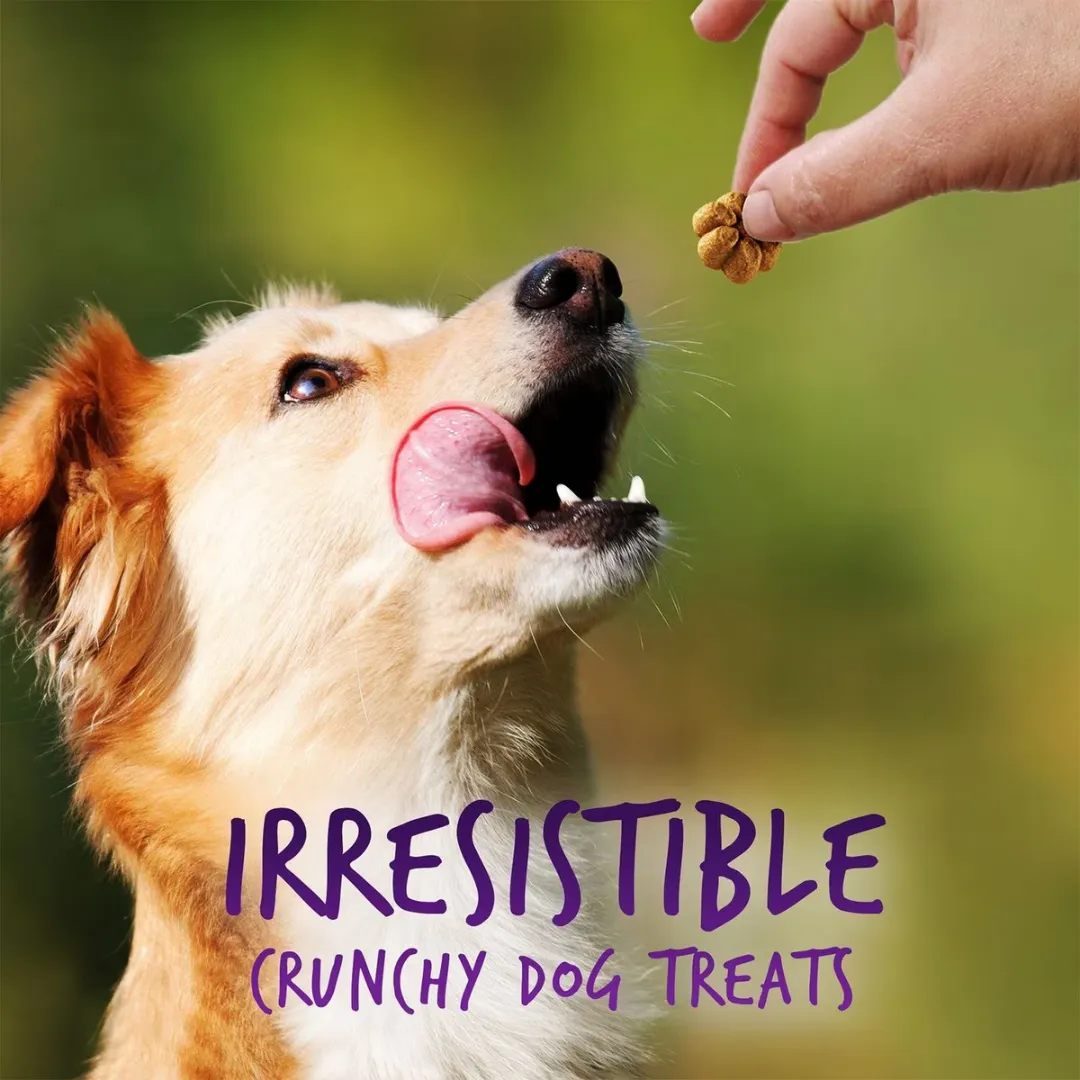 Fruitables Dog Treat Crunchy Baked