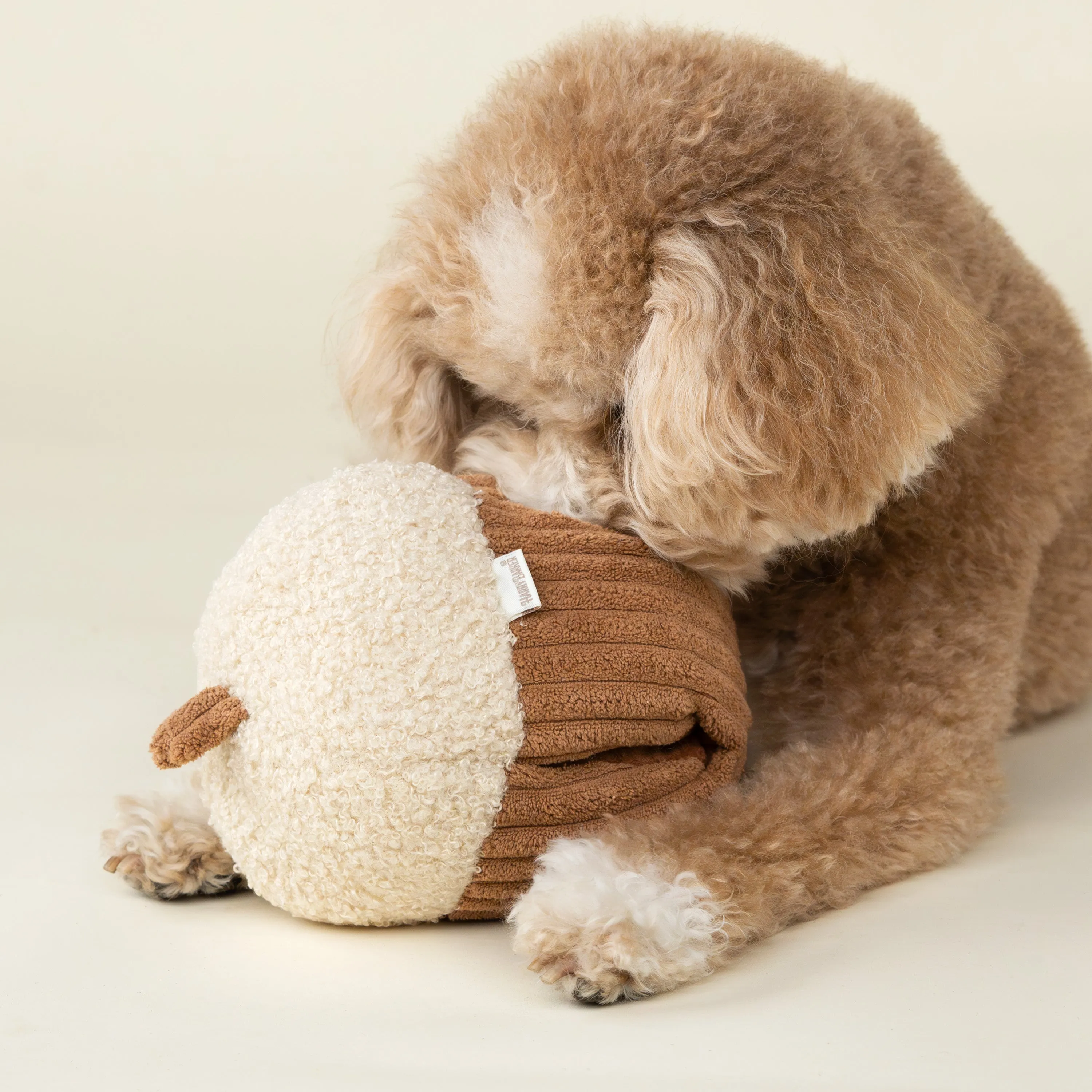 Hidden Stash Acorn Treater Dog Toy