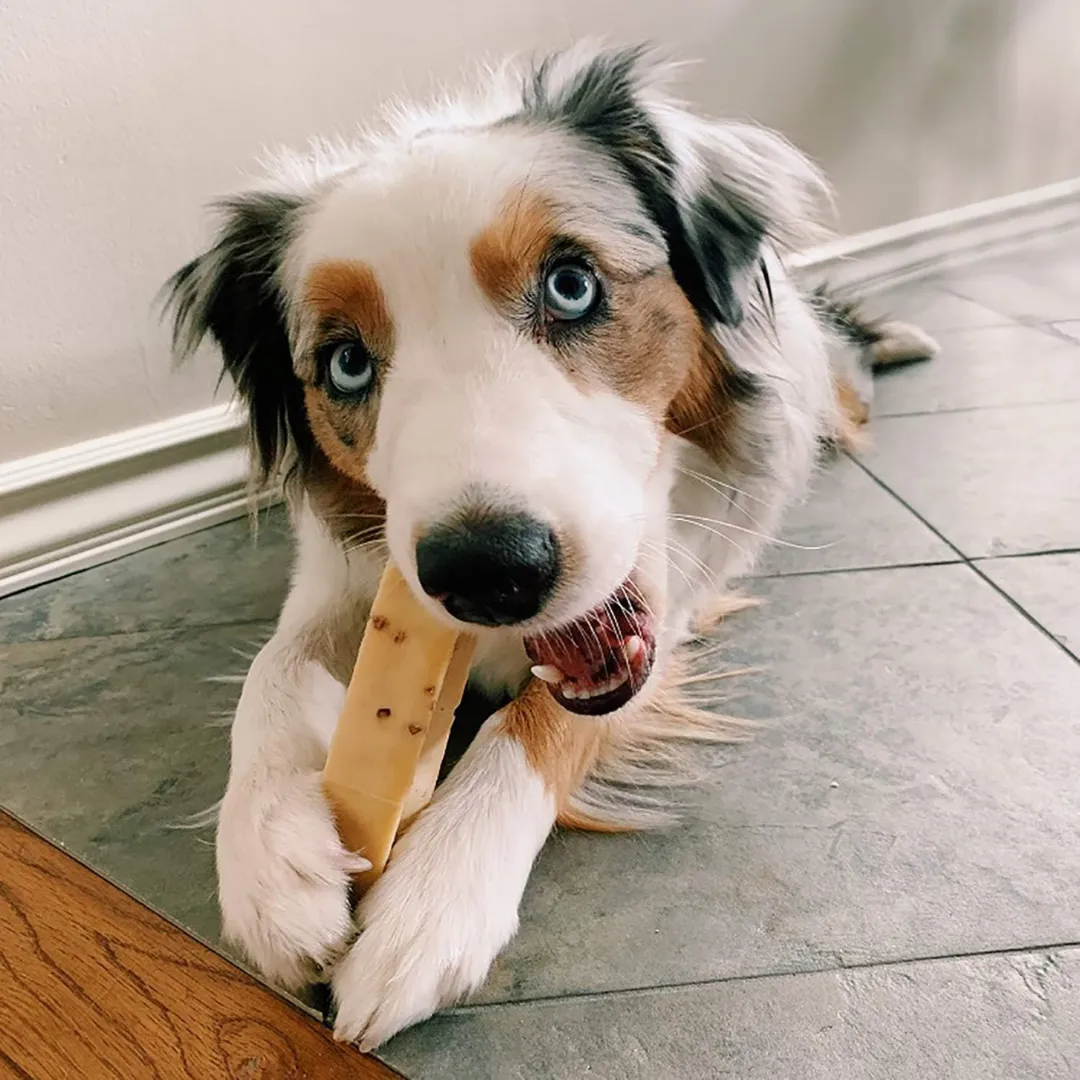 Himalayan Pet Supply The Original Dog Chew Treat