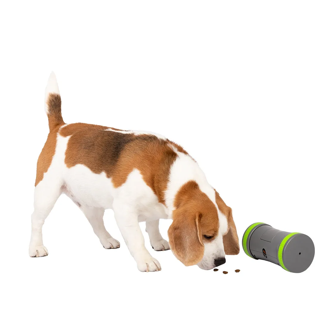 Kibble Chase™ Roaming Treat Dispenser
