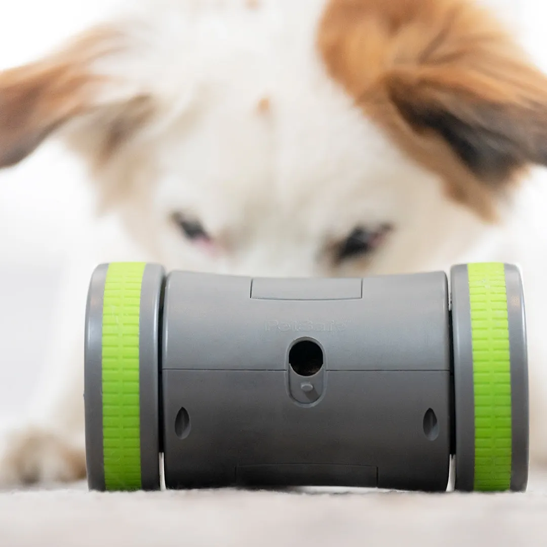 Kibble Chase™ Roaming Treat Dispenser
