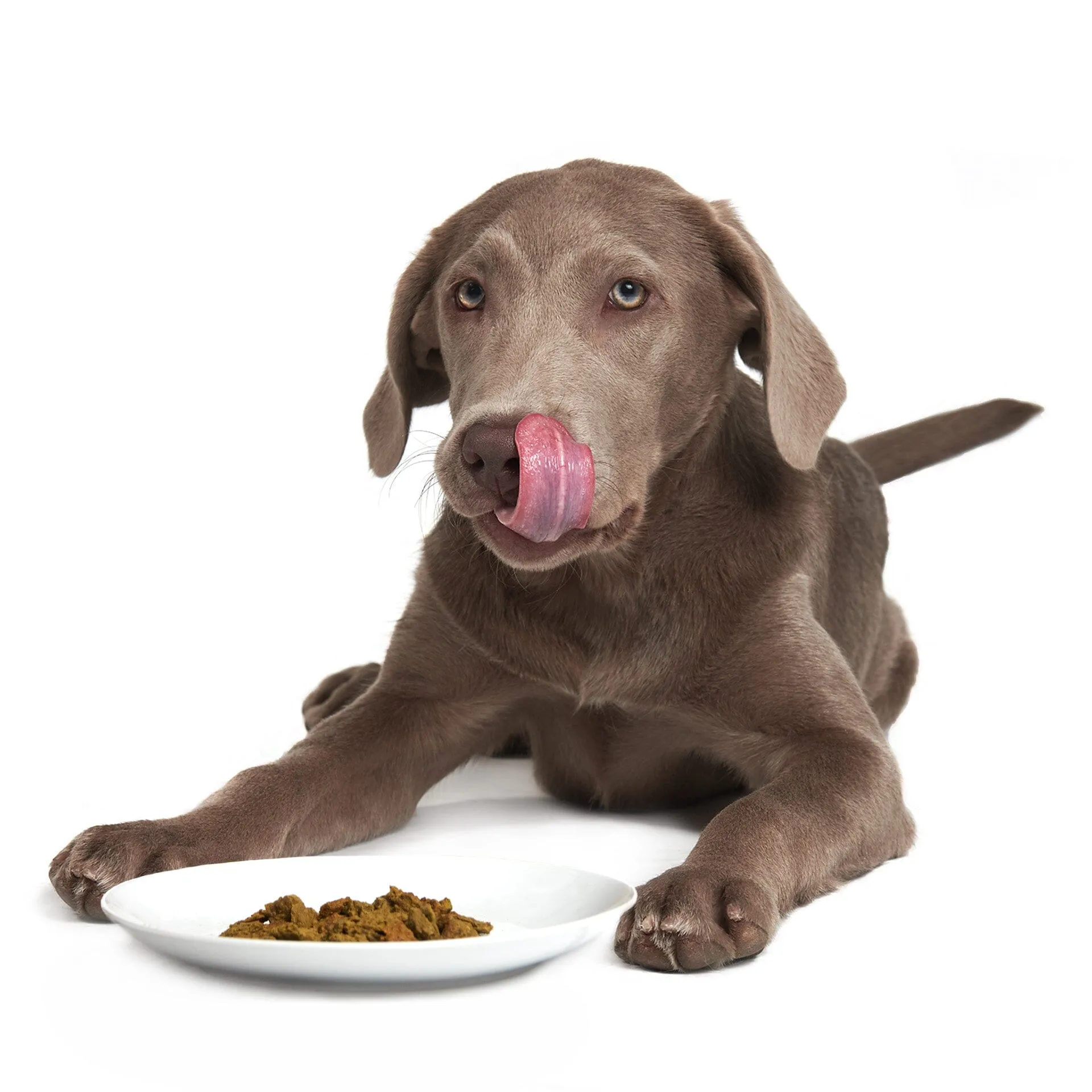 Prairie Harvest Pork | W1 | DOG