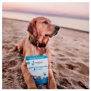 Shameless Pets Soft-Baked Blueberried Treasure Biscuits for Dogs, 6oz