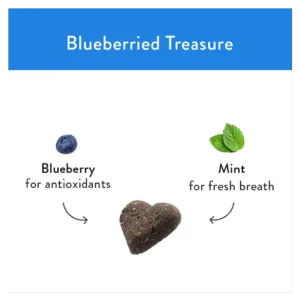 Shameless Pets Soft-Baked Blueberried Treasure Biscuits for Dogs, 6oz