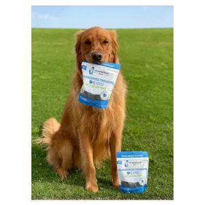 Shameless Pets Soft-Baked Blueberried Treasure Biscuits for Dogs, 6oz