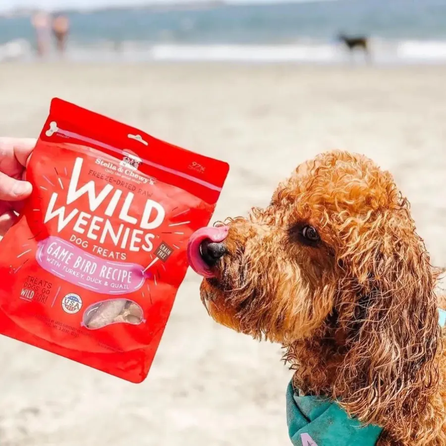 Stella & Chewy's Wild Weenies Game Bird Recipe Freeze-Dried Dog Treats 3.25 oz