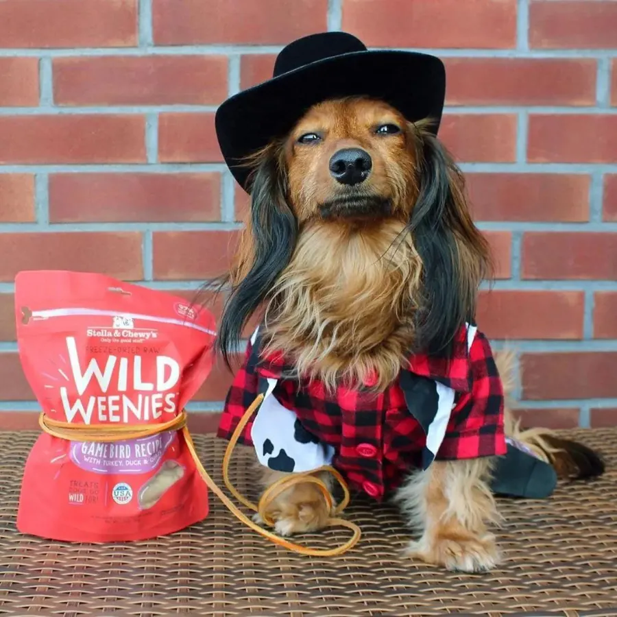 Stella & Chewy's Wild Weenies Game Bird Recipe Freeze-Dried Dog Treats 3.25 oz