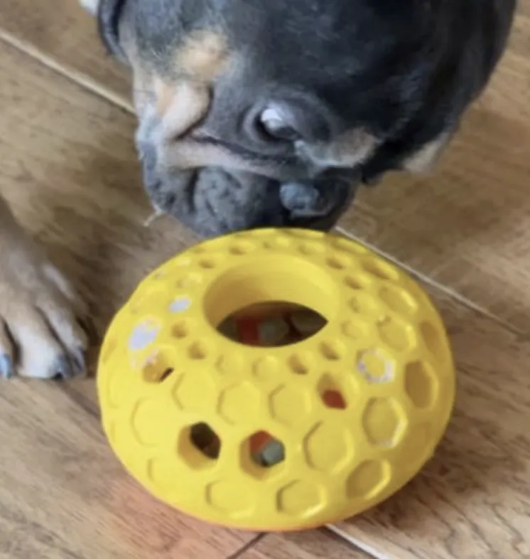 Tall Tails Natural Rubber Bee Hive Toy