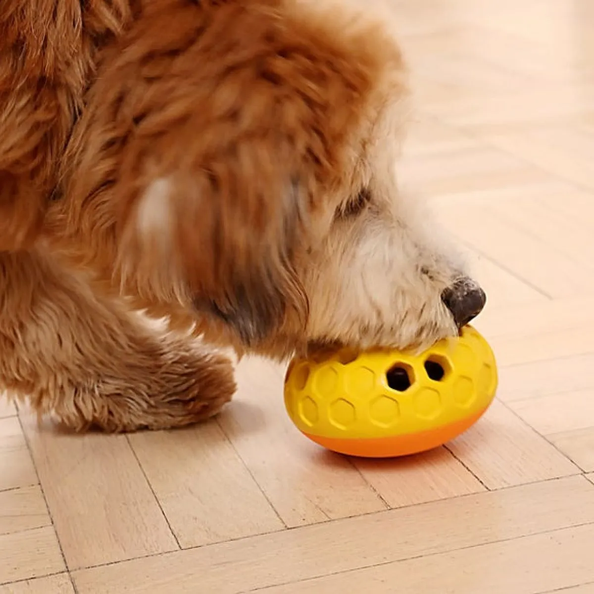 Tall Tails Natural Rubber Bee Hive Toy