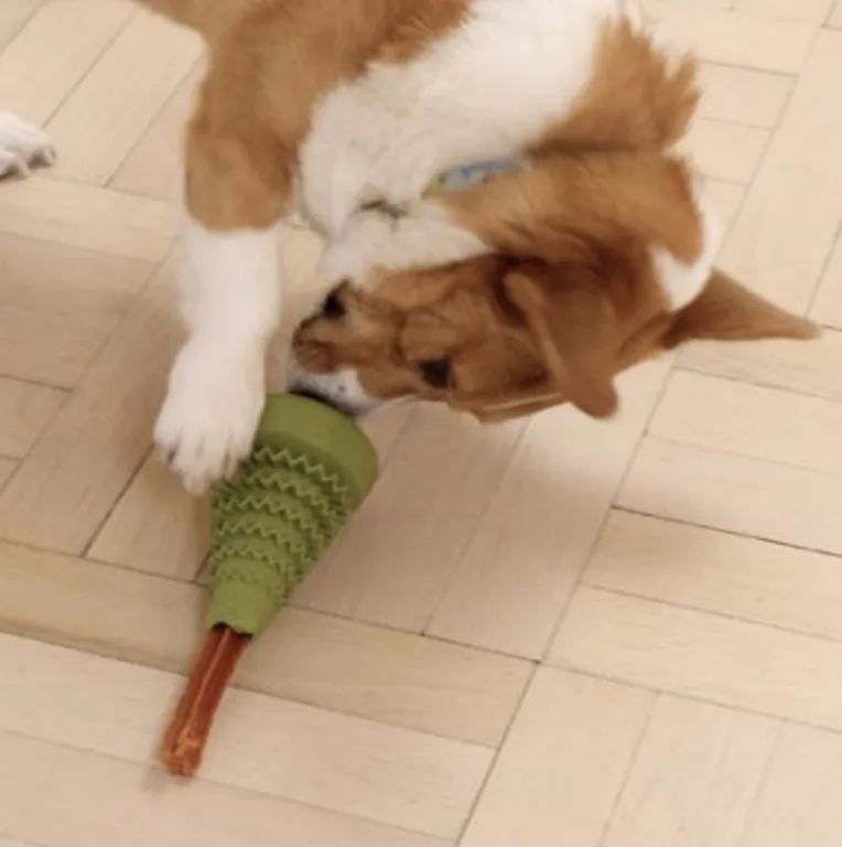 Tall Tails Natural Rubber Evergreen Toy